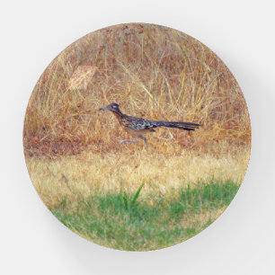 Road Runner Bird Running in a Meadow Glass Paperweight