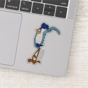 ROAD RUNNER™ Color Sticker