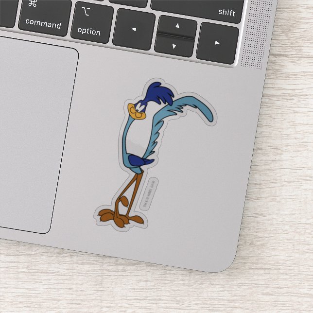 ROAD RUNNER™ Color Sticker (Detail)