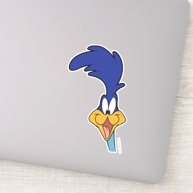 ROAD RUNNER™ Face Sticker (Detail)