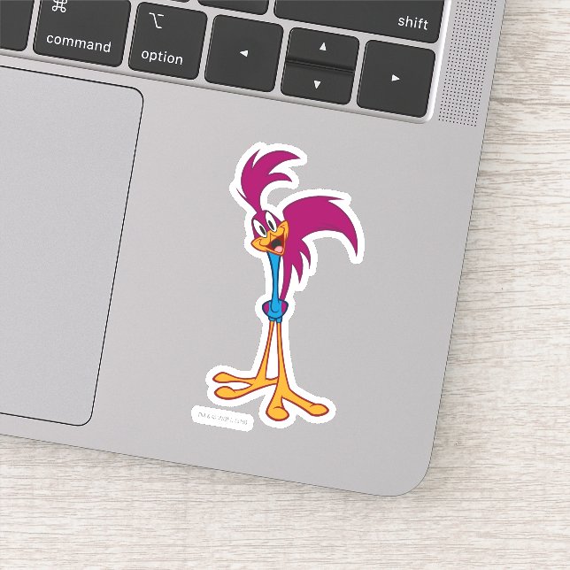 ROAD RUNNER™ Head Tilted Sticker (Detail)