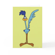 ROAD RUNNER™ in Color Card