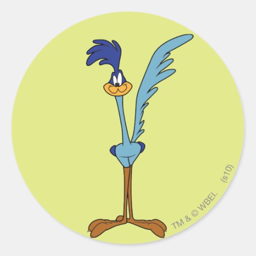 ROAD RUNNER in Color Classic Round Sticker