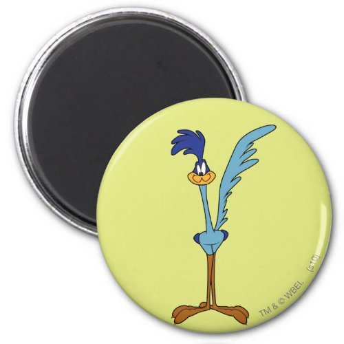 ROAD RUNNER in Color Magnet