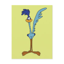 ROAD RUNNER™ in Color Postcard