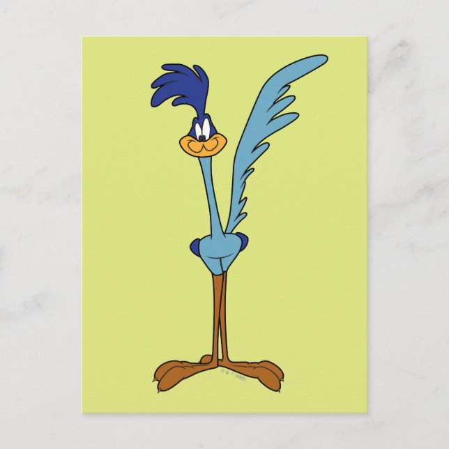 ROAD RUNNER™ in Color Postcard (Front)