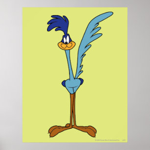 ROAD RUNNER™ in Color Poster