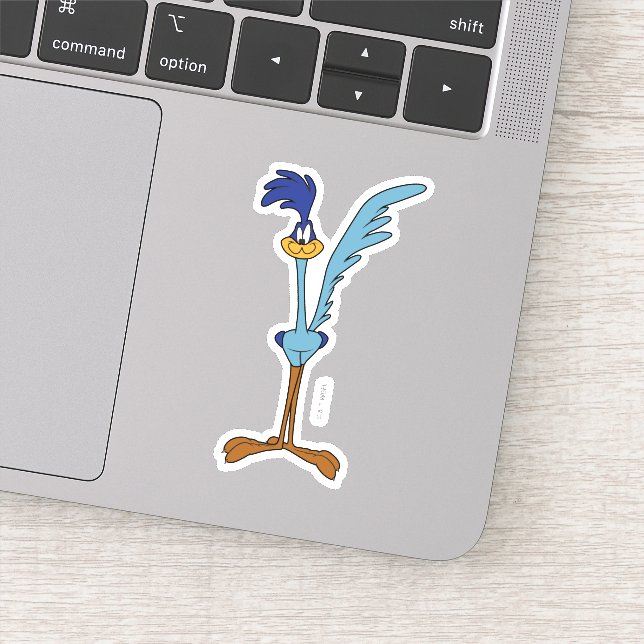 ROAD RUNNER™ in Color Sticker (Detail)
