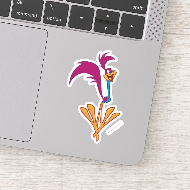 ROAD RUNNER™ Jump Sticker (Detail)