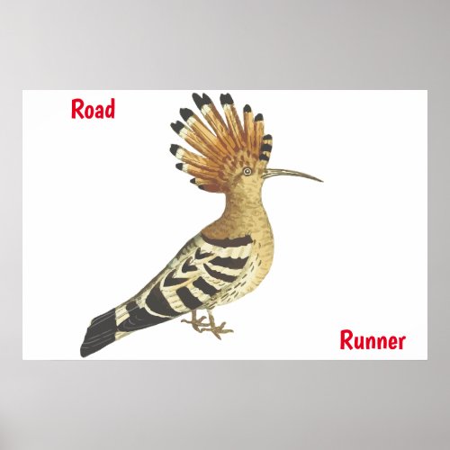 road Runner Poster