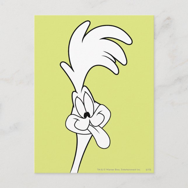 ROAD RUNNER™ Tongue Postcard (Front)