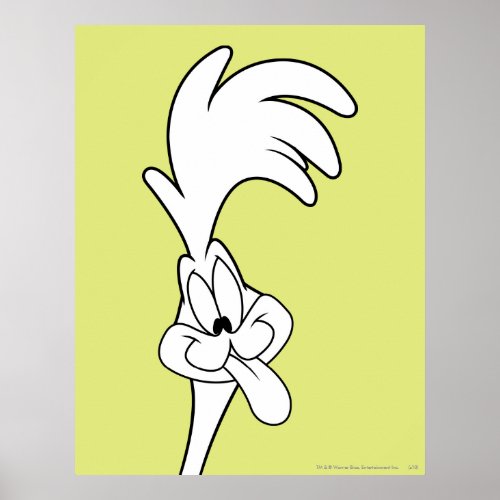 ROAD RUNNER Tongue Poster