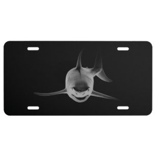 Road Shark  License Plate