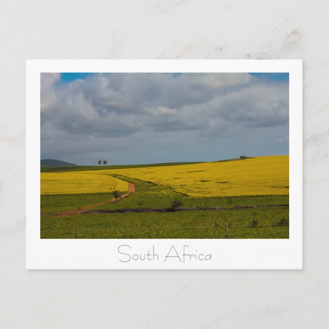 Road South Africa Landscape Postcard (Front)