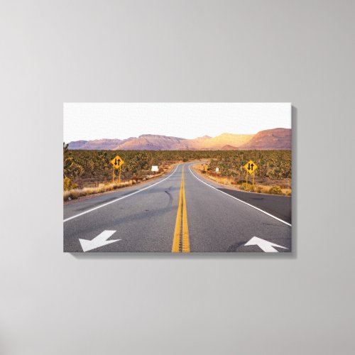 Road Through Joshua Tree National Park Canvas Print