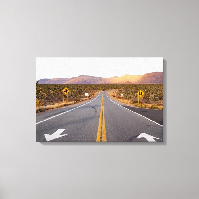 Road Through Joshua Tree National Park Canvas Print (Front)