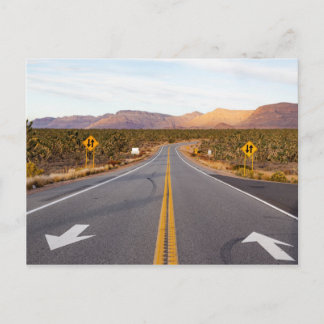 Road Through Joshua Tree National Park Postcard