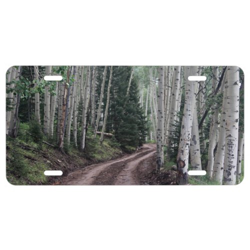 Road Through the Birch License Plate