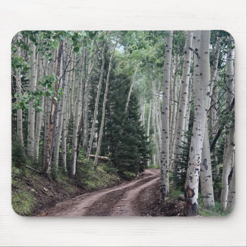Road Through the Birch Mouse Pad