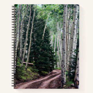 Road Through The Birch Notebook