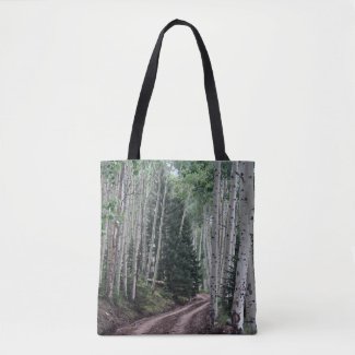 Road Through The Birch