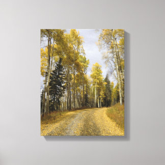 Road through the Fallen Aspen Leaves Canvas Print