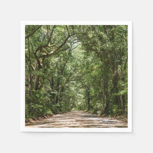 Road To Angel Oak Napkins (Front)