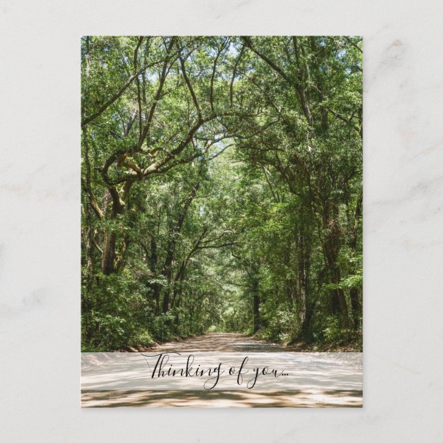 Road To Angel Oak Thinking Of You Postcard (Front)