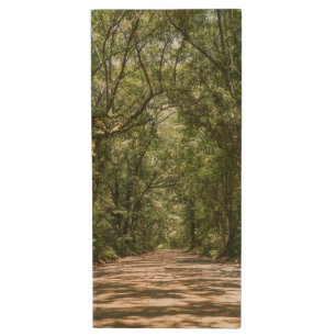 Road To Angel Oak Wood Flash Drive