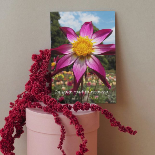 Road to Recovery Pink Dahlia Floral Get Well Card (In Situ)