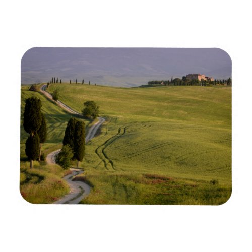 Road to Terrapille in Tuscany magnet