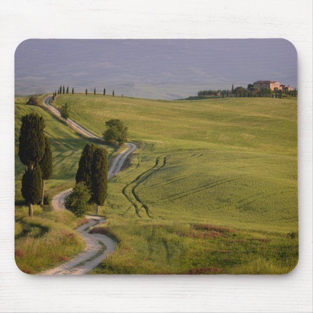 Road to Terrapille in Tuscany mousepad (Front)