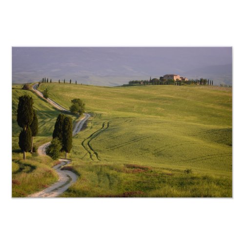 Road to Terrapille in Tuscany photo print