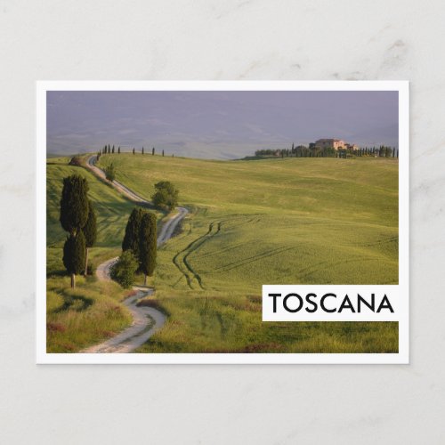Road to Terrapille in Tuscany Toscana Postcard