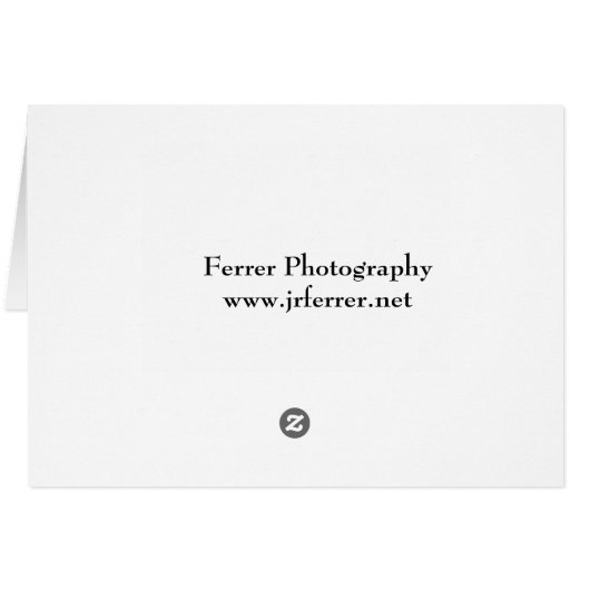 Road to Teuchitlan (Back Horizontal)