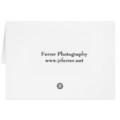 Road to Teuchitlan (Back Horizontal)