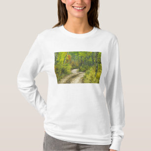 Road with autumn colors and aspens in Kebler T-Shirt