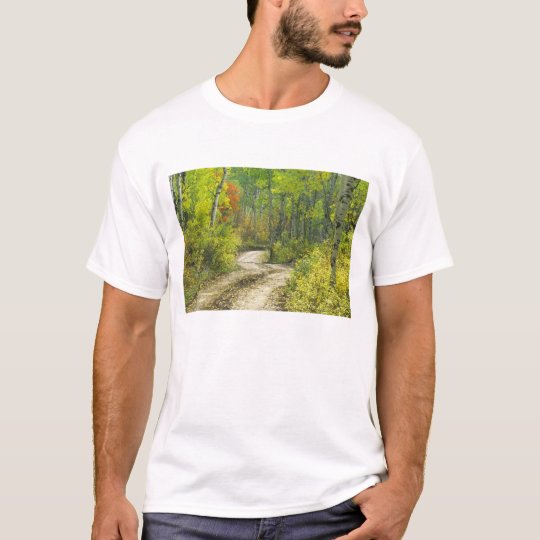 Road with autumn colors and aspens in Kebler T-Shirt