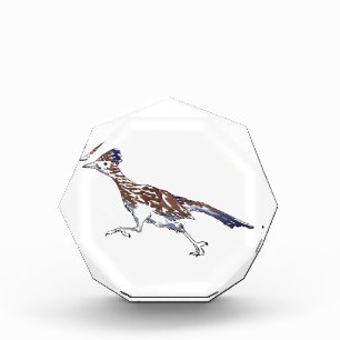 Roadrunner Acrylic Award