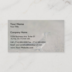 Roadrunner Business Card