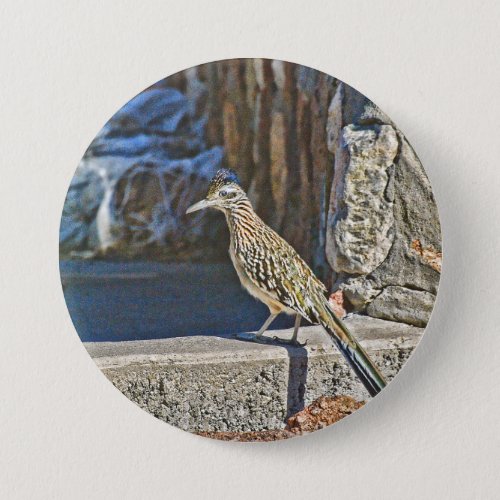 Roadrunner Button