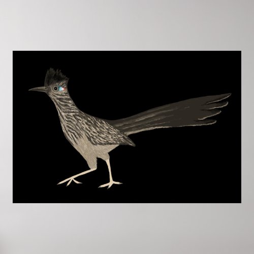 Roadrunner Colored Pencil drawing on black Poster