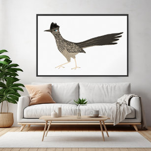 Roadrunner Colored Pencil drawing on white Poster