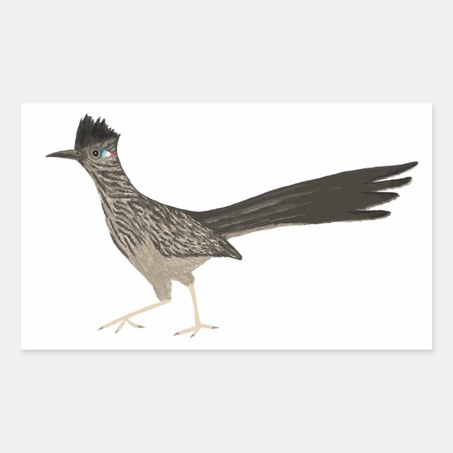 Roadrunner colored pencil drawing rectangular sticker (Front)