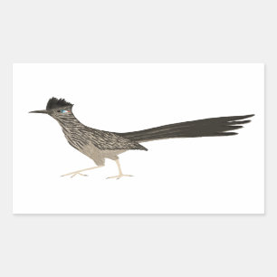 Roadrunner colored pencil drawing rectangular sticker