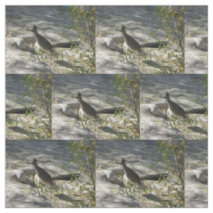 Roadrunner Fabric