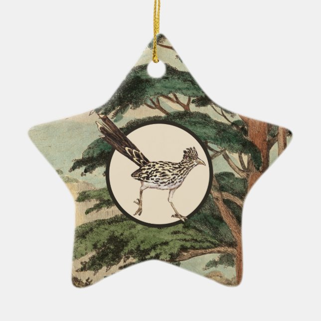 Roadrunner In Natural Habitat Illustration Ceramic Ornament (Front)