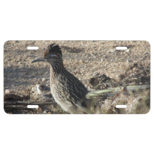 Roadrunner License Plate