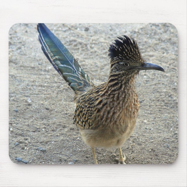 Roadrunner Mouse Pad (Front)