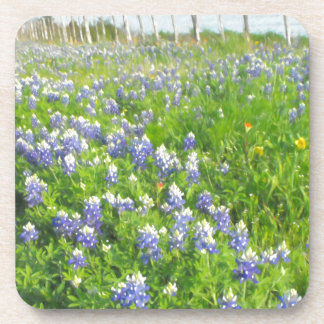 Roadside Bluebonnets Coaster
